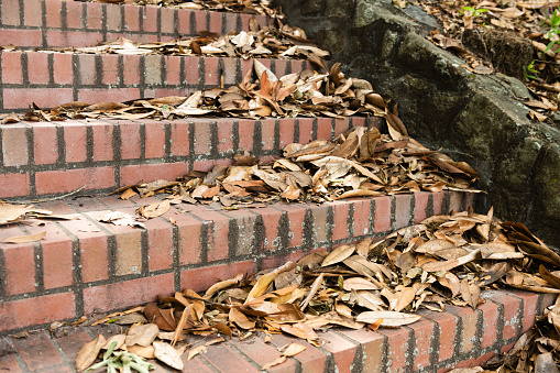 This is a photograph of fallen leaves on the brick steps of staircase in Washington Park in Macon, Georgia.