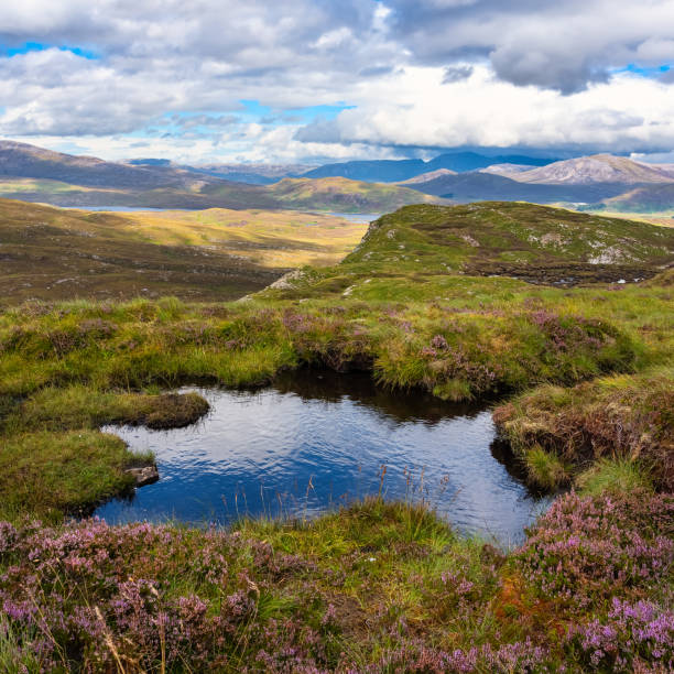 piccolo lago in cima alle verdi montagne vicino a ullapol, scozia, regno unito. - loch assynt foto e immagini stock