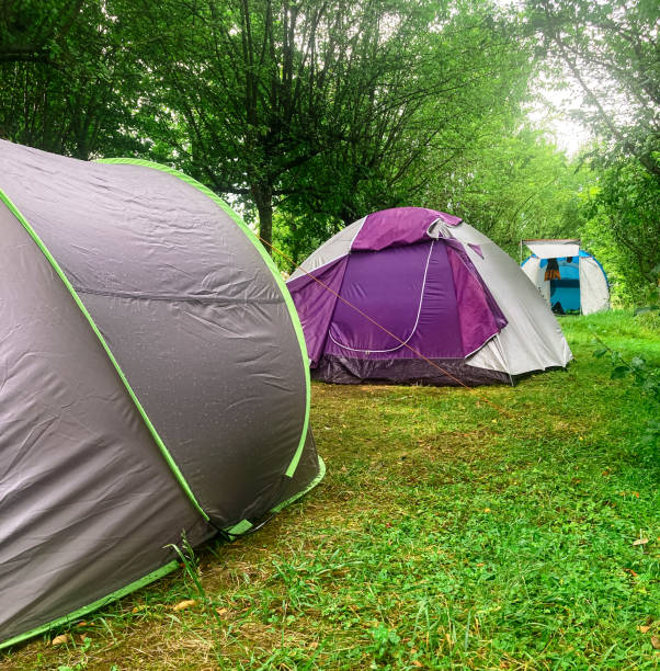 istock Tents installed in the campsite in summer 1665735434