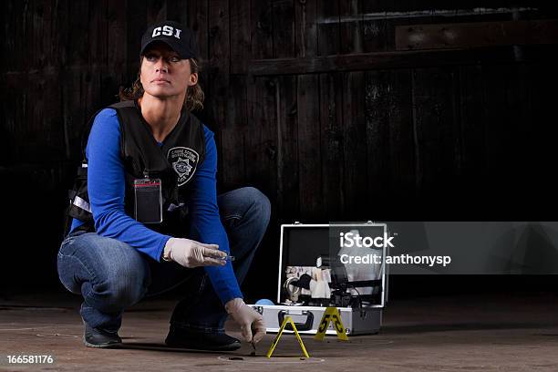 Scene Inspector Stock Photo - Download Image Now - Police Force, Women, Adult