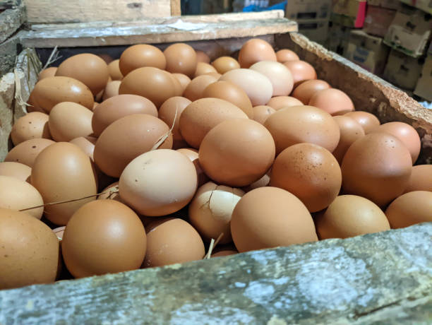 istock chicken eggs in wooden box 1665819237