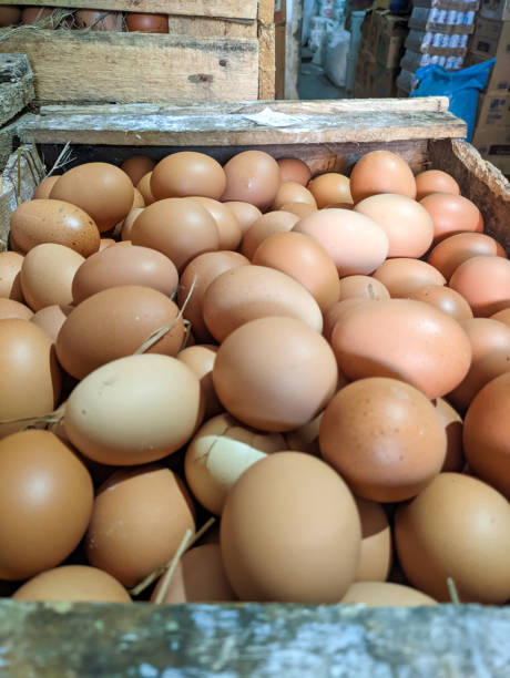 istock chicken eggs in wooden box 1665820343
