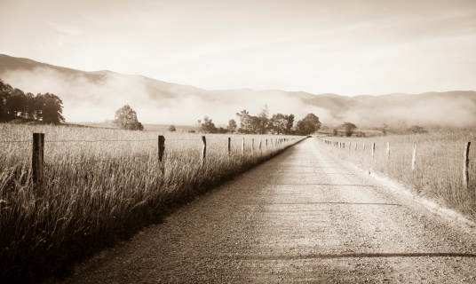 Country road in early morning in the Cades Cove area of the Smokies, in black and white with a sepia tone.
