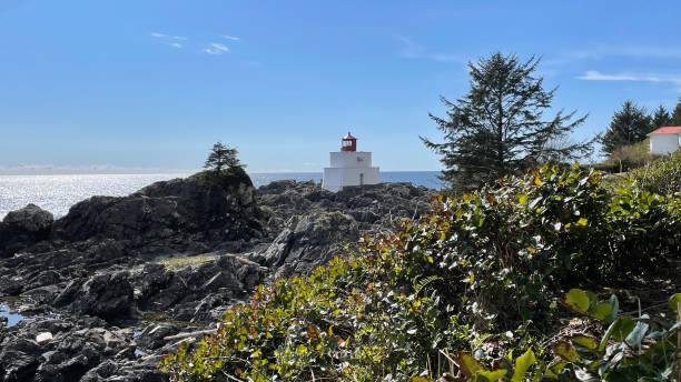istock Amphitrite Point Lighthouse at the Ucluelet Wild Pacific Trail Lighthouse Loop on Vancouver Island 1665834396