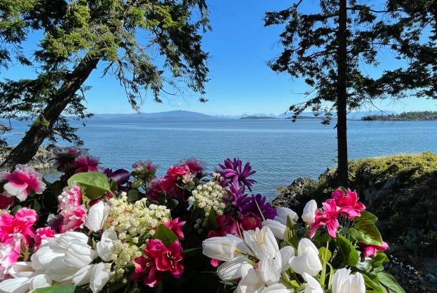 Beautiful view of Nanoose Bay on the East Coast of Vancouver Island Beautiful view of Nanoose Bay on the East Coast of Vancouver Island in British Columbia, Canada. east vancouver stock pictures, royalty-free photos & images