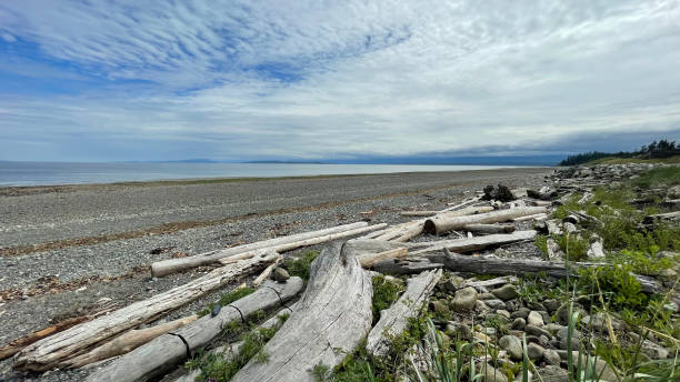 istock Point Holmes in Comox on Vancouver Island 1665834452