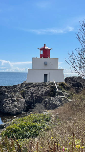 Amphitrite Point Lighthouse at the Ucluelet Wild Pacific Trail Lighthouse Loop on Vancouver Island The Amphitrite Point Lighthouse at the Ucluelet Wild Pacific Trail Lighthouse Loop on Vancouver Island in British Columbia, Canada. east vancouver stock pictures, royalty-free photos & images