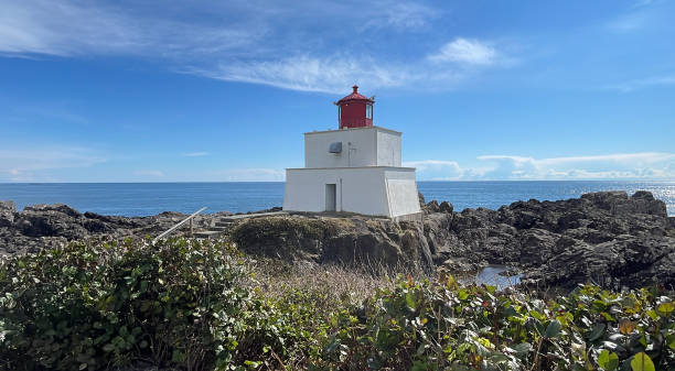 istock Amphitrite Point Lighthouse at the Ucluelet Wild Pacific Trail Lighthouse Loop on Vancouver Island 1665834467