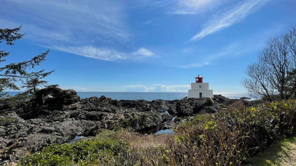 istock Amphitrite Point Lighthouse at the Ucluelet Wild Pacific Trail Lighthouse Loop on Vancouver Island 1665835044