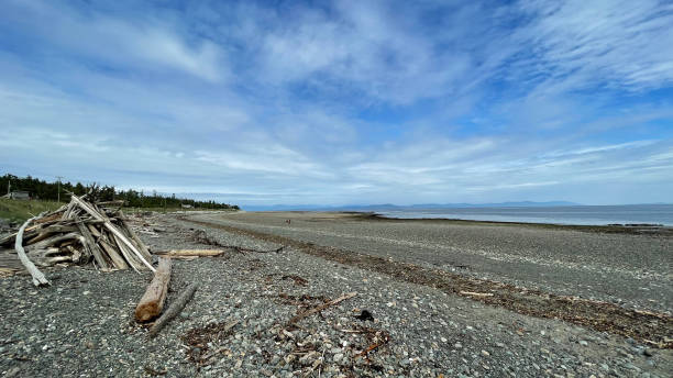 Point Holmes in Comox on Vancouver Island Point Holmes in Comox on Vancouver Island in British Columbia, Canada. east vancouver stock pictures, royalty-free photos & images