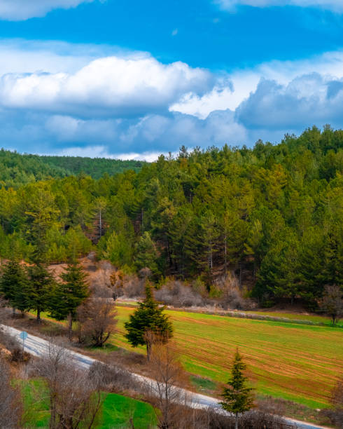 istock Landscape photo, nature, forest 1665840693