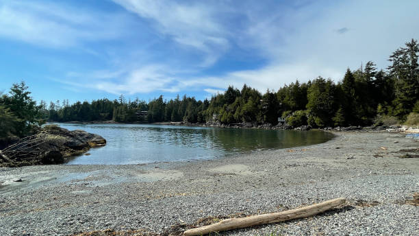 istock Little Beach in Ucluelet on Vancouver Island 1665841070
