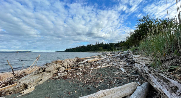 istock Pipers Lagoon Park in Nanaimo on Vancouver Island 1665845622