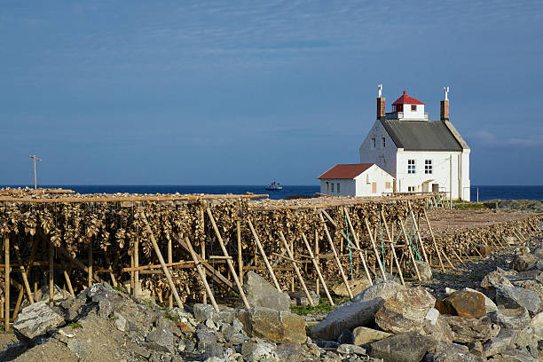 istock Stock fish in Norway 166587011
