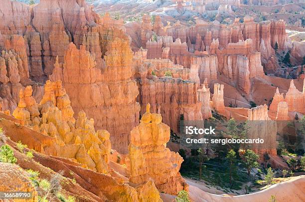 Park Narodowy Bryce Canyon - zdjęcia stockowe i więcej obrazów Bez ludzi - Bez ludzi, Drzewo, Erodowany