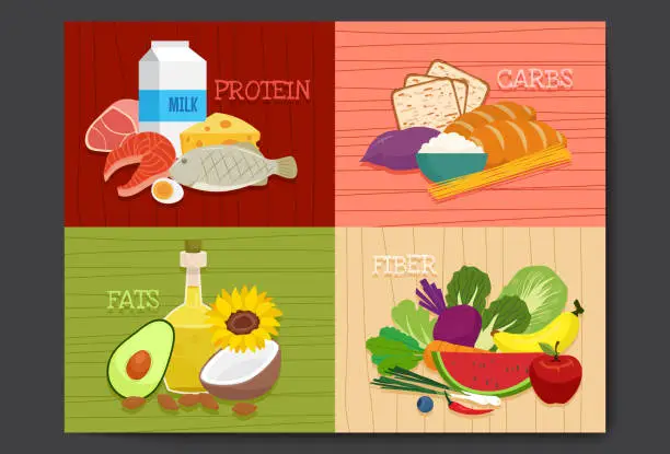 Vector illustration of Set of main food groups, macro and micronutrients. Fats, fiber or cellulose, carbs and proteins