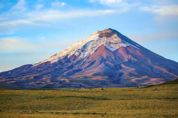 Cotopaxi Volcano in the central Andes Highlands, Ecuador, South America