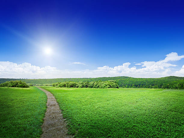 istock Rural road and meadow 166591343