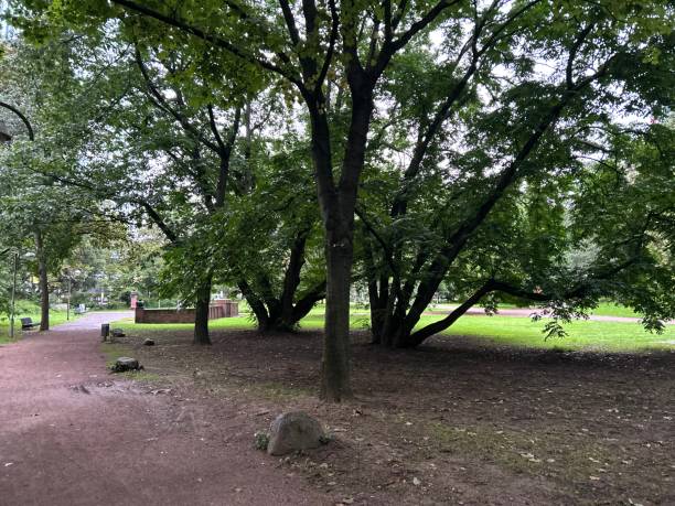 istock Central Park in Frankfurt 1665929872