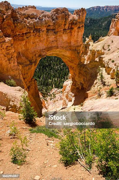 Parco Nazionale Bryce Canyon - Fotografie stock e altre immagini di Albero - Albero, Altopiano, Ambientazione esterna