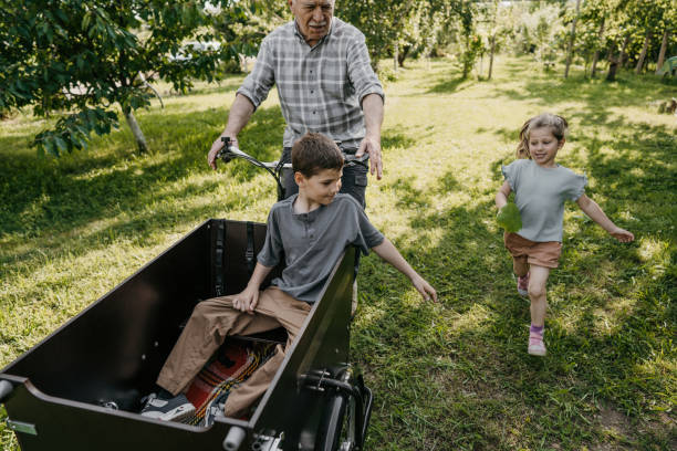 istock Man riding grandson in cargo bike 1665958380