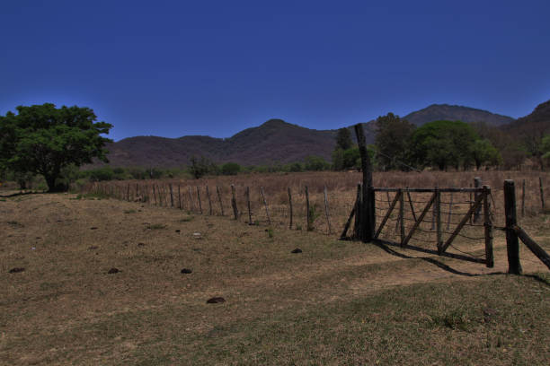 Yungas of Jujuy