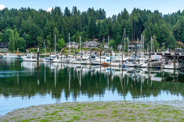 istock Gig Harbor Marina Boats 1665962684