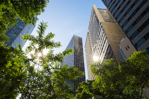 Modern Office Buildings With Trees Below and Sun Reflection in City Downtown.