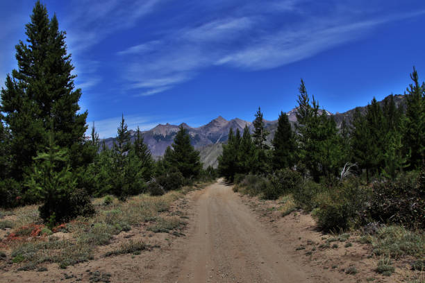 istock Patagonian wild ways 1665983131