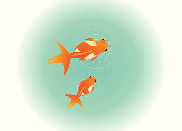 Goldfishes - ilustración de arte vectorial