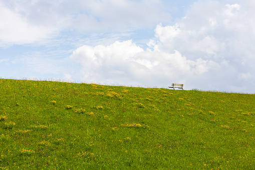 Wooden bench on a green hill with yellow flowers under a blue sky