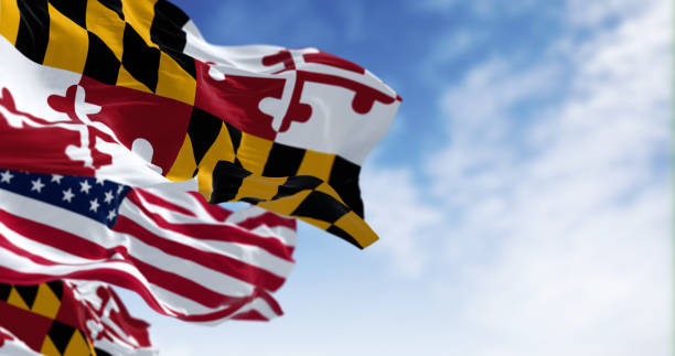 flaggen von maryland und der vereinigten staaten, die an einem klaren tag im wind wehen - maryland flag banner us state flag stock-fotos und bilder