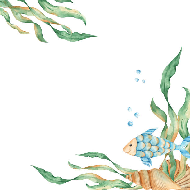 istock Marine corner frame, border of cute fish, seaweeds, red starfish, seashells and water bubbles. Underwater world. Watercolor hand drawn illustration for children. For cards, logos, marine design. 1666028793