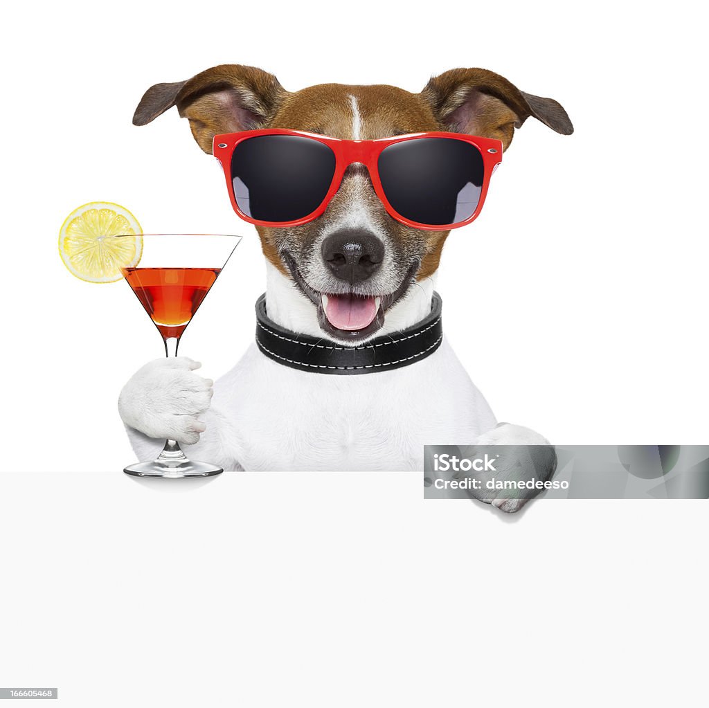 funny cocktail dog funny cocktail dog holding a martini glass behind a banner Dog Stock Photo