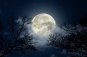 Night sky with full moon