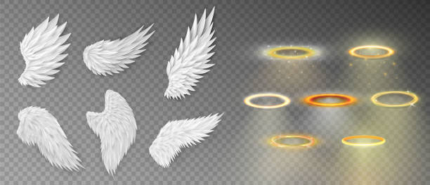 Collection of three dimensional angel white wings and shiny nimbus Big set of 7 three dimensional angel white wings and shiny nimbus. Masquerade, festival, carnival costumes. Realistic saint aureole (halo) and wings isolated on transparent background costume wing stock illustrations