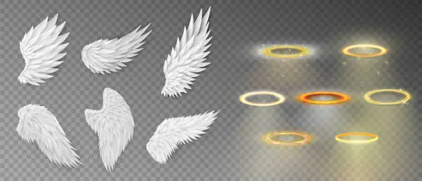 Vector illustration of Collection of three dimensional angel white wings and shiny nimbus