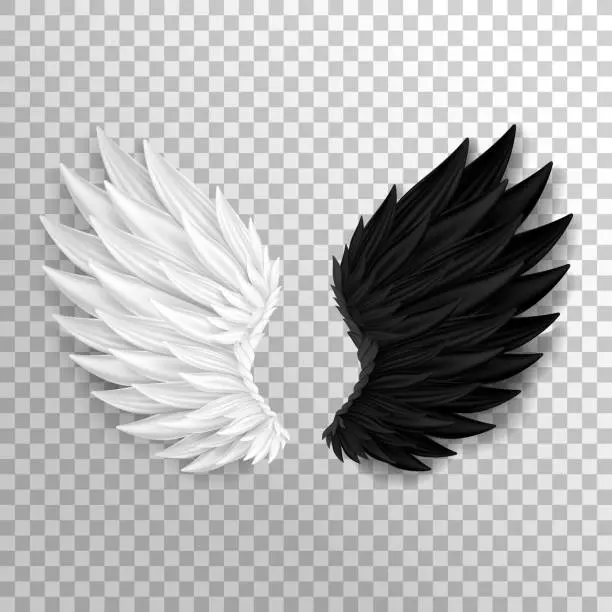 Vector illustration of Two realistic half wings isolated on transparent background.