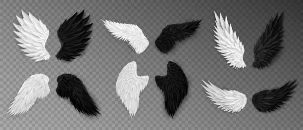 Vector illustration of Set of various realistic wings isolated on transparent background.