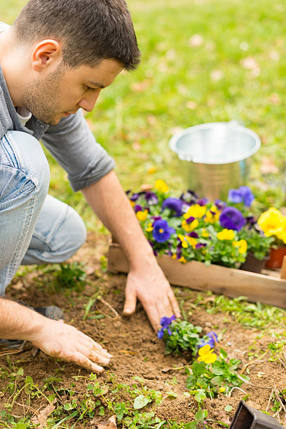 istock Young gardener planting flowers 166606706