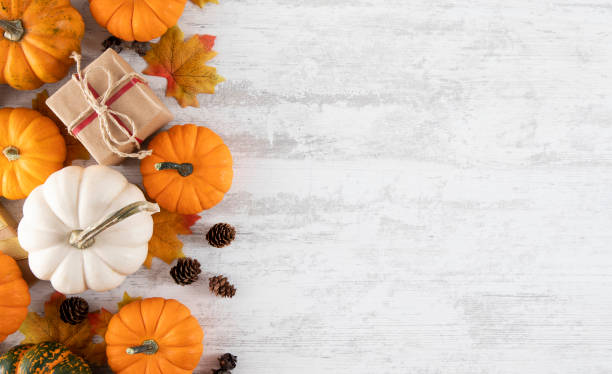 istock Happy Thanksgiving and Autumn Backgrounds 1666070149