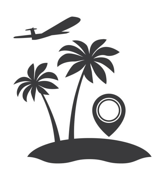 palmeninsel-ikone - tropical climate airplane island hawaii islands stock-grafiken, -clipart, -cartoons und -symbole
