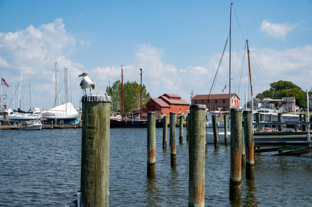 Annapolis Harbor is surrounded by boutiques, shops and restaurants that cater to tourists, residents, and yachtsmen alike. Annapolis is also the home of the United States Naval Acadamy