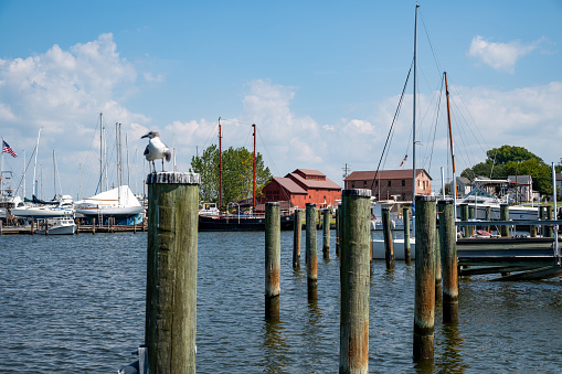 View of Cambridge from the Choptank River including a view of the Richardson Maritime Museum