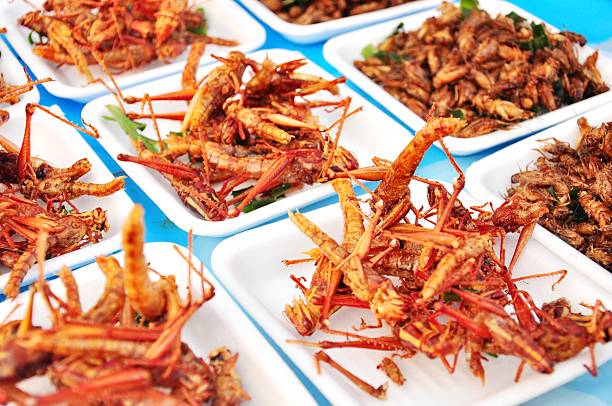 Fried grasshoppers in Thailand market