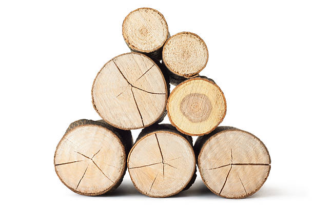 Heap of several logs. View at saw cut. Heap of several logs. View at saw cut. Isolated on a white. woodpile stock pictures, royalty-free photos & images
