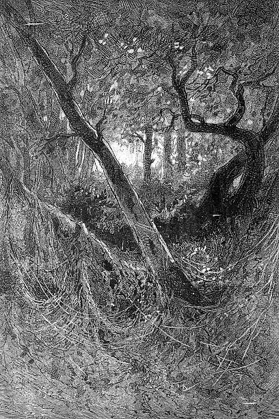 Tree Drawing Renaissance 1,400+ Renaissance Landscape Painting Stock Photos, Pictures & Royalty ...