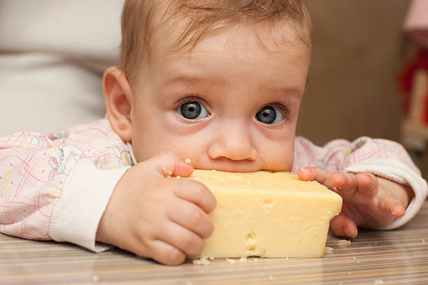 Sevenmonth Baby Eats A Big Piece Of Cheese Stock Photo - Download Image Now  - Cheese, Eating, Baby - Human Age - iStock