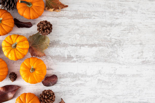 istock Happy Thanksgiving and Autumn Backgrounds 1666105026
