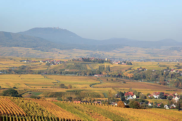 istock The vineyard of Alsace 166611340
